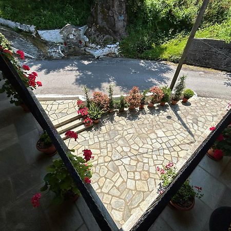 מלון Anilio Pelion Λευκή Καμέλια מראה חיצוני תמונה