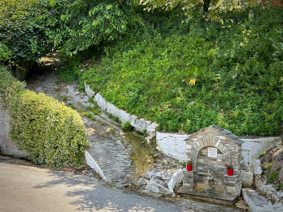 מלון Anilio Pelion Λευκή Καμέλια מראה חיצוני תמונה