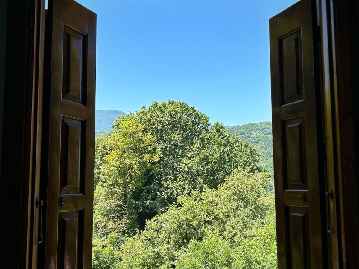 מלון Anilio Pelion Λευκή Καμέλια מראה חיצוני תמונה