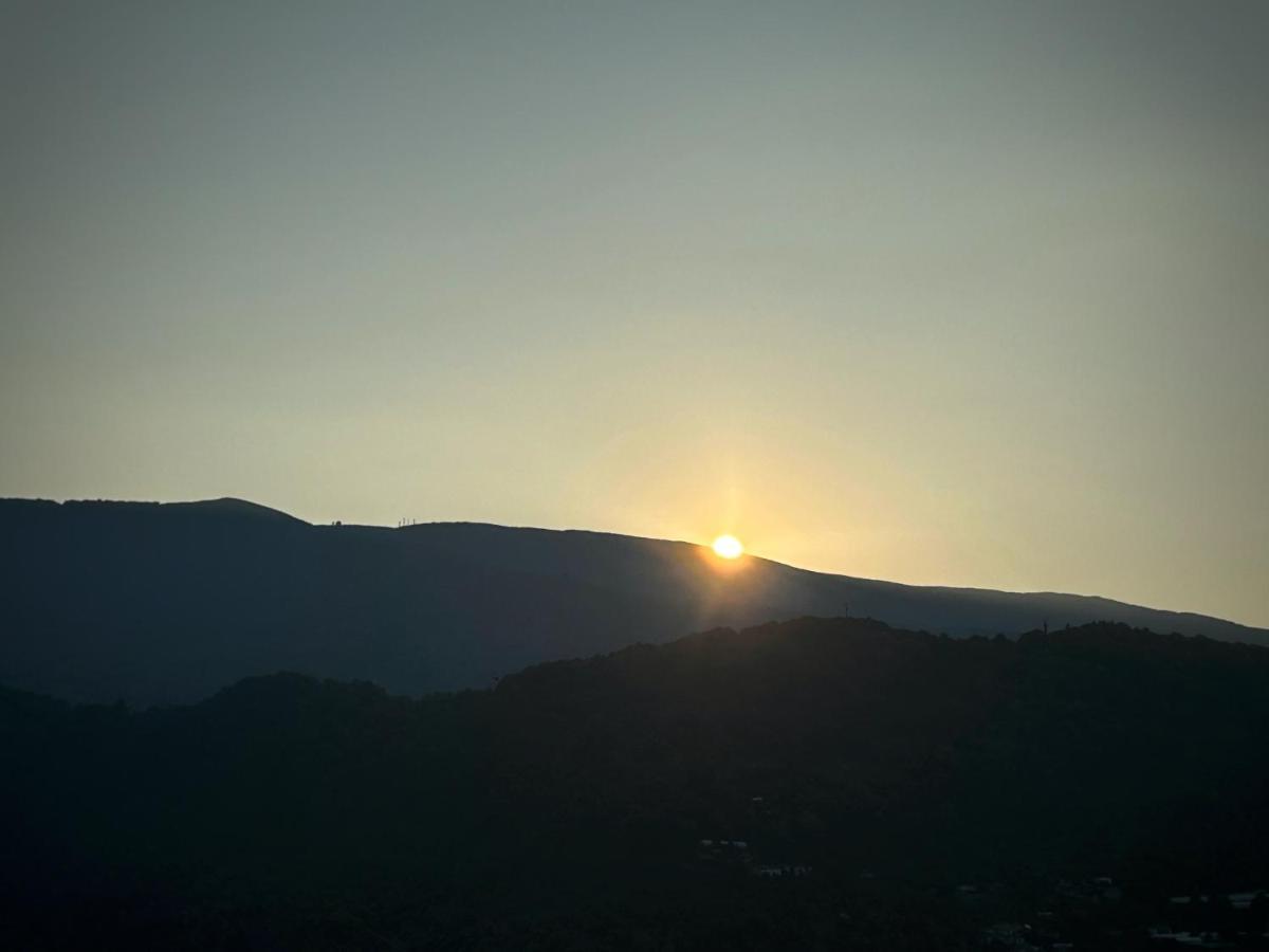 מלון Anilio Pelion Λευκή Καμέλια מראה חיצוני תמונה