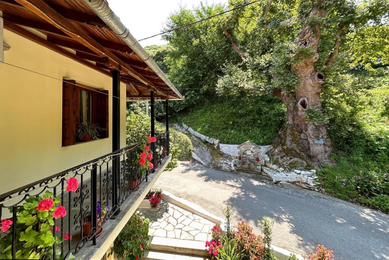 מלון Anilio Pelion Λευκή Καμέλια מראה חיצוני תמונה