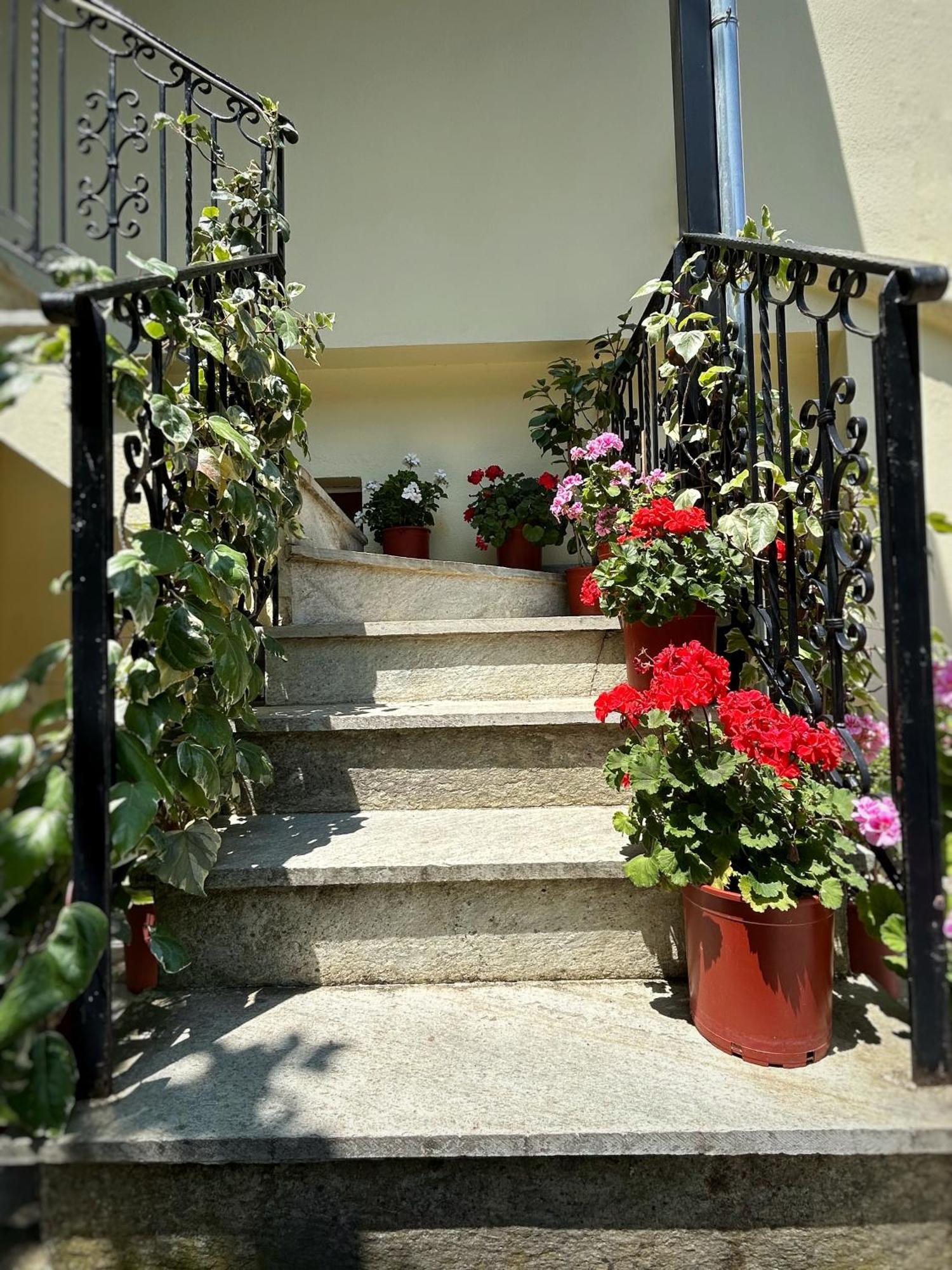 מלון Anilio Pelion Λευκή Καμέλια מראה חיצוני תמונה