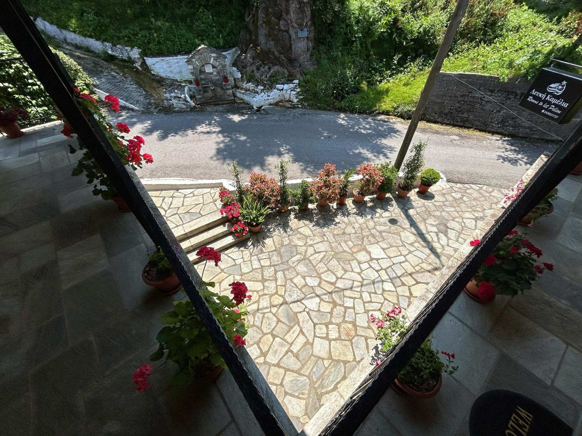 מלון Anilio Pelion Λευκή Καμέλια מראה חיצוני תמונה